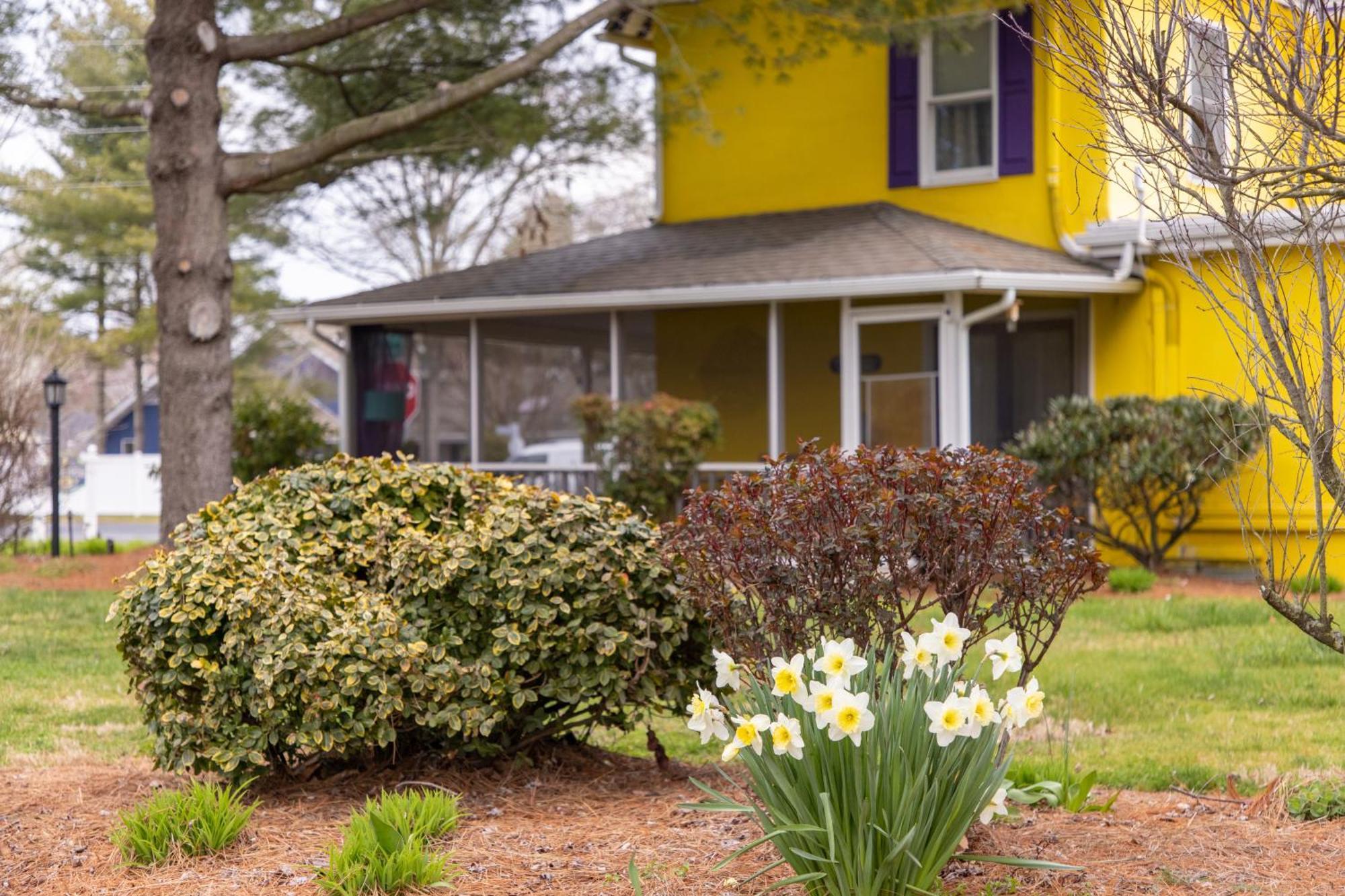 The Homestead B&B Rehoboth Beach Eksteriør bilde